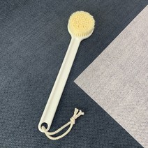 바디브러쉬샤워솔