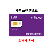 LG유플러스 미디어로그 알뜰유심 후불 유심칩 카드 USIM 알뜰폰 요금제 무약정, 스카이라이프통신사이동