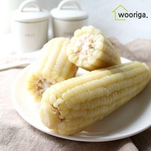 탱글탱글 백찰 냉동 삶은 찰옥수수 36개 12~14cm 내외