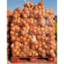 (동이농산)22년 창녕 국내산 햇 양파 중 소혼합-20kg (벌크)업소용 대용량 식자재 저장양파