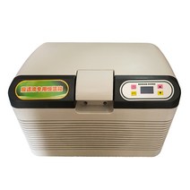 차량용 냉장고 캠핑 차박 전기 아이스박스 12v 24v, 12L 차량ㅣ가정용
