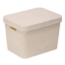 센스2030 커버 바스켓뚜껑정리함, 아이보리색 × 2개