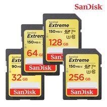 샌디스크 익스트림 SD카드 CLASS10 SDXV5, 64GB