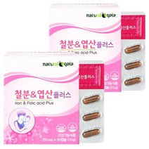 타이거아울렛 철분 엽산 60캡슐 x 2박스 4개월분 여성 임산부 수유부 임신초기 남성 청소년 어린이 가용성 햄철 헴철 철분제, 단품, 단품