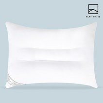 호텔납품 휴비스정품 알러지케어 향균 마이크로화이바 낮은 경추베개, 낮은경추베개 (50*70)