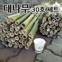 대나무 지주대 담장 울타리 조경 원목 문발 정원펜스 텃밭, 대나무 30호세트