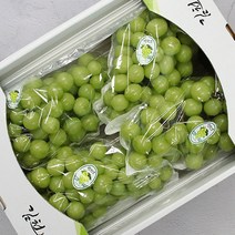 [농장직송] 프리미엄 샤인머스켓 망고 포도 설 명절 선물세트, 품질보장 특상 선물용 4kg(4-5수)