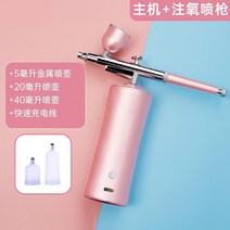 충전식 에어 브러시 두피 페이스 나노 스프레이 염색 미용실, 핑크