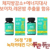 출산후다트 단기간 카테킨 나잇살 내장지방 콜레스트롤 하체다트 체지방컷팅제 판토텐산 셀렌