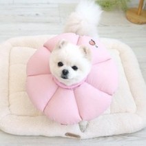 패리스독 반려동물 넥카라쿠션 깔대기 꿀잠카라 핑크 M