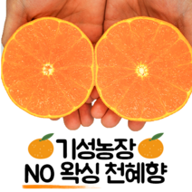 제주 기성농장 NO왁싱 천혜향 랜덤과 10kg 5kg 3kg 실속, 제주 기성농장 천혜향 실속 3kg 랜덤과(당도선별), 1개