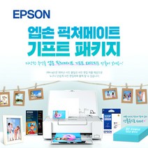 엡손코리아 엡손 포토프린터 PM-401P5