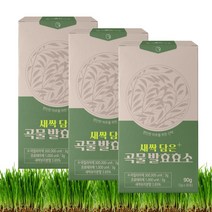 곡물 새싹보리 효소 30포 3개 스틱 발효 가바 베타글루칸 역가수치 탄수화물 단백질 지방 분해효소