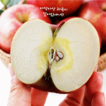 [산지직송]고당도 당도보장 gap인증 홍로 사과 5kg 현대백화점선물세트 사과 충주 코스트코 양주별 세척 봉화 양구 제이블릭 백화점사과 백화점과일선물 당도보장, 엔비 5kg 18과(17~19과), 1개