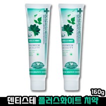 [ 브랜드 대상 3년 연속 1위 ] 덴티스테 화이트플러스 치약 페퍼민트 허브 화이트닝 충치 예방 구취 입냄새 개운함 상쾌함 수면 밤샘 튜브 홈쇼핑 덴티스트 댄티스테 덴디스테, 2개, 160g