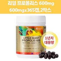 항산화 propolis 플라보노이드 NK세포 아연 목관리 프로폴리스 면역증강제 그린 높이는 유해산소 구강향균 면역 비염 활성산소 30대 40대 50대 60대 온가족 여성 남성 추천 효능