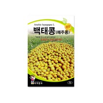 모칸도 세계종묘 메주콩(백태) 30g, 1개