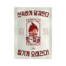 김국산 핫칠공 핫팩 100g, 10개