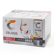 셀시어스 스파클링 후지애플 페어맛 에너지 드링크 325ml x 12개, 단품, 3900ml