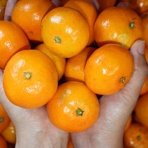 천하일품 서귀포 제철 감귤, 01.감귤 3kg 꼬마, 1박스