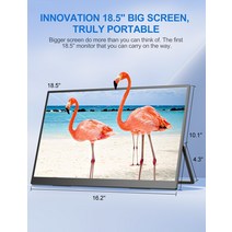 Uperfect 휴대용 모니터 18.5 인치 1080p FHD HDR IPS 랩톱 컴퓨터, 02 AU 플매트 카펫 러그