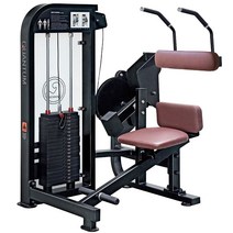 엑스펀 업도미널 머신 헬스기구 복근 운동기구 EXQ-010, 블랙(유광), 블루