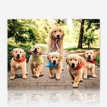 아기강아지 산책 DIY 보석십자수 십자수 비즈세트