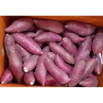 [GAP인증] 껍질째 먹는 영암산 황토 꿀고구마 한입크기(30~60g/개)/세척.살균+큐어링(숙성), 3kg
