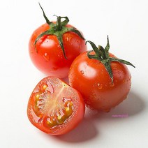 MMSc_대추방울토마토 5Kg 가정용zab391