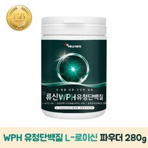 흡수빠른 류신 WPH 유청단백질 분말 280g 보충제 근력 로이신 파우더