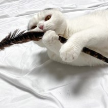 꿩 깃털 55cm 고양이 행동유발 장난감 만들기 사냥 놀이 운동, 1개