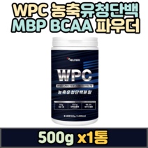 농축 유청 단백질 분말 WPC 대두레시틴 ISP 류신 발린 아르기닌 BCAA 필수 아미노산 쉐이크 MBP 보충 식사대용 시니어 노인 추천 프로틴 홈쇼핑
