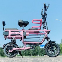 표준상표 전기자전거, 핑크, 48V+30Ah 120km 항속