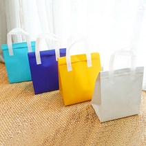 디더스트백 13 부직포 보냉백 10장 - 보냉팩 보온가방 아이스박스 인쇄가능, 2호_35X23(10장) 2.블루