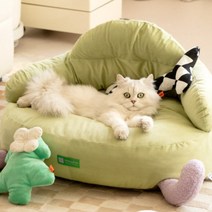 데이영 스윗 고양이 강아지 쇼파