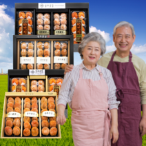 먹사부 상주 곶감 선물세트 반건조 곶감 반건시 반시 건시 설 추석 선물 세트 명절 선물 세트 말린 곶감 실속형 가정용 곶감말이 감말랭이 햇 곳감 꽃감 곷감 곧감 제수용 선물용, Q.금란지교1호