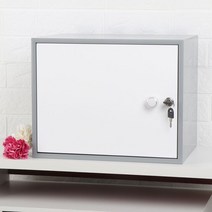 사물함 캐비닛 개인 미니 락커 케비넷 사무실옷장 철재 철제 관물대 락카장 미용실 캐비넷 사무실, 라지[48*30*35cm], 소나무 그레이 화이트 도어 레귤러