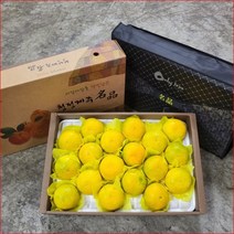 이든 황금향 3kg 선물용 7~15개 제주황금향 노지감귤 조생귤 부모님 친지 지인 선물 대량주문, 단품