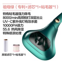 침대 청소기 진드기 제거 소형 진공 청소기 UV 살균기 겸용으로 진드기 인공 침대를 제거하는 도구 가정용 이불 이불 건조기, 에메랄드 (특허 + 1 필터 + 1 스티커)