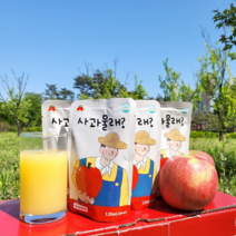 솔스윗 물넣지않은 100% 명품 청송사과즙 120ml 50포 100포