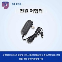 센서 농도 O2 트랜스미터 모니터 산소, 12V 전원 어댑터