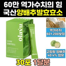 오라뷰 탄수화물 단백질 양배추 발효 분해 소화 효소 아밀라아제 소화효소 효소제품 역가 아밀라제 효소제 파우더 분해효소 효소양배추 메가 생생 효능 발효효소 분말 속편한 효과 스틱