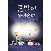 큰발이 몰려온다!:, 한울림어린이