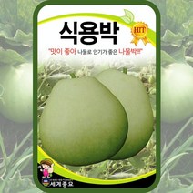 식용박 씨앗 나물박씨앗 10립 박씨앗 희귀채소 종자 gourd seed, 1개