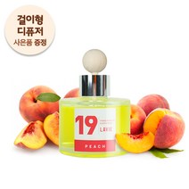 라비에 차량용 방향제 피치 허브타임 복숭아 디퓨저, 단품