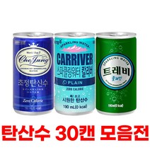 일화 초정탄산수 트레비 플레인 190ml X 30캔 탄산수, 롯데 트레비 플레인 190ml x 30캔