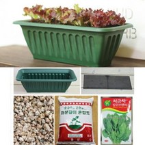 [천삼백케이] [행복한 세상] [행복한세상]채소키우기세트(중)DIY, 채소키우기(중)-쑥갓