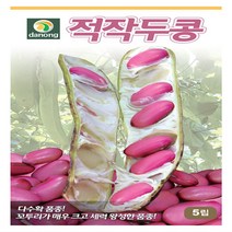 다-적작두콩 100립