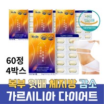 중년 복부지방 윗배 가르시니아캄보지아 체지방컷팅제 피하지방 아랫배 복부살 똥배 다이어트 보조제 차전자피 레몬밤 중년 남자 여성 주부 40대 50대 피하지방 내장지방 탄수화물컷팅제