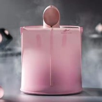 가정용 나혼자 1인용 접이식 이동식 건식 습식 스팀 사우나 기계 싸우나 찜질기 사우나기, 퍼플 리모콘불포함
